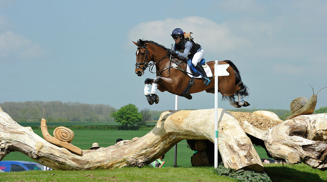 Eventing Horses